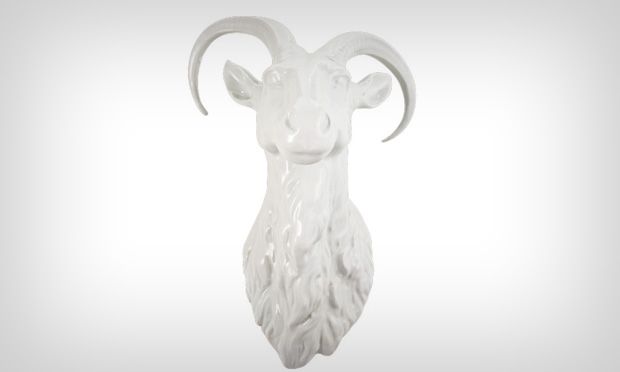 Cabeça de porcelana Cabeça de porcelana