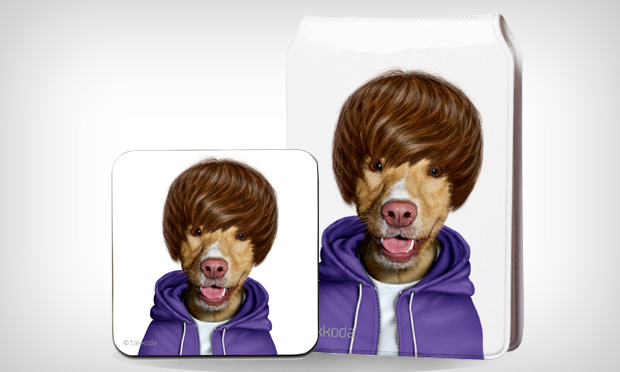 Animais de estimação caracterizados como celebridades Animais de estimação caracterizados como celebridades