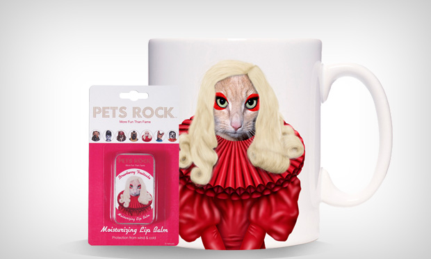 Animais de estimação caracterizados como celebridades Animais de estimação caracterizados como celebridades