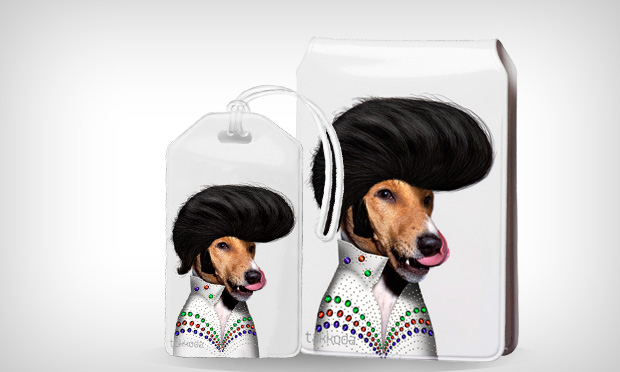 Animais de estimação caracterizados como celebridades Animais de estimação caracterizados como celebridades