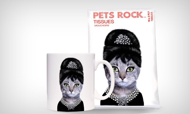 Animais de estimação caracterizados como celebridades Animais de estimação caracterizados como celebridades