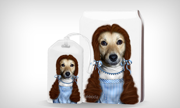 Animais de estimação caracterizados como celebridades Animais de estimação caracterizados como celebridades