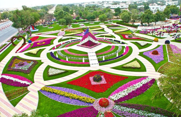 Divulga&ccedil;&atilde;o