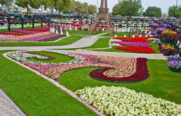 Divulga&ccedil;&atilde;o