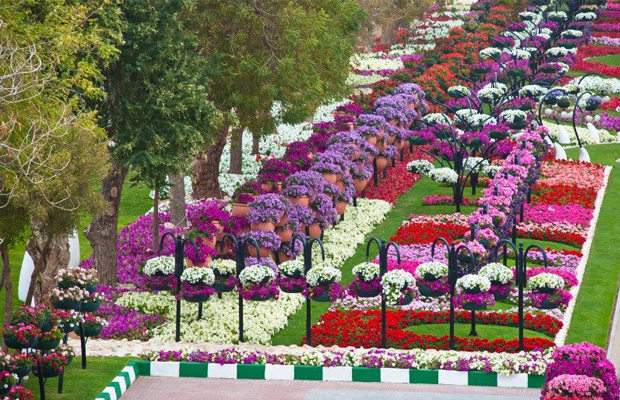 Divulga&ccedil;&atilde;o