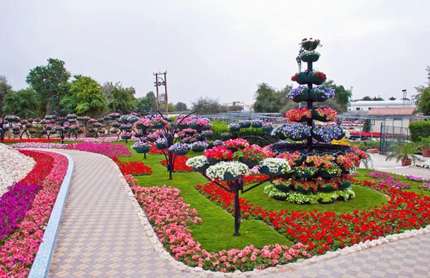 Divulga&ccedil;&atilde;o