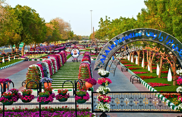 Divulga&ccedil;&atilde;o