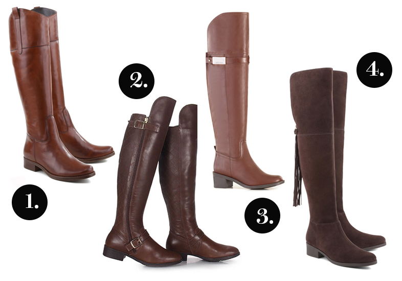 Reprodu&ccedil;&atilde;o