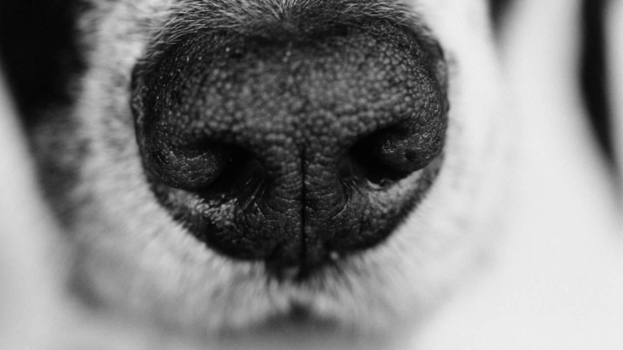 Image Source White/ Thinkstock