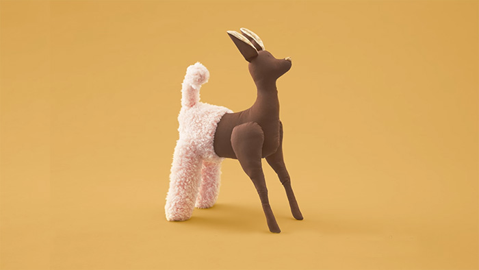 Divulga&ccedil;&atilde;o