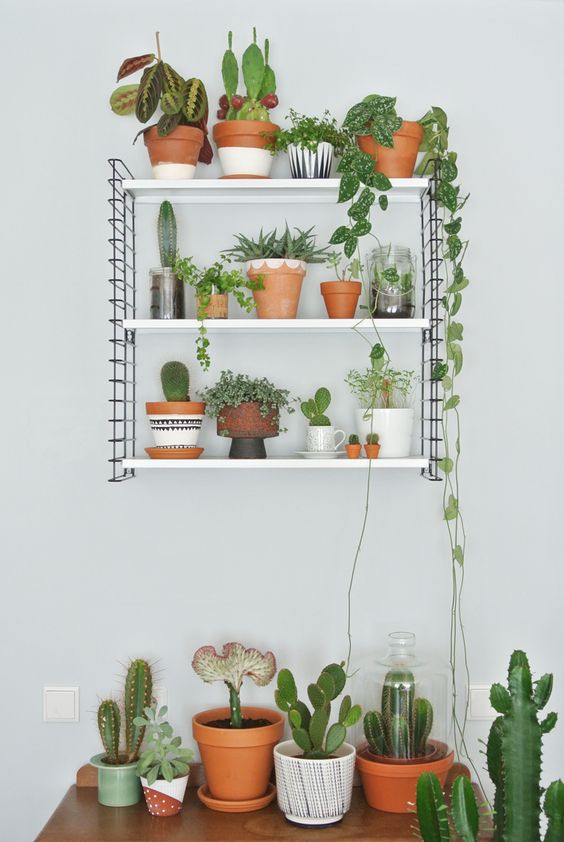 Reprodu&ccedil;&atilde;o/Pinterest/EnterMyAttic