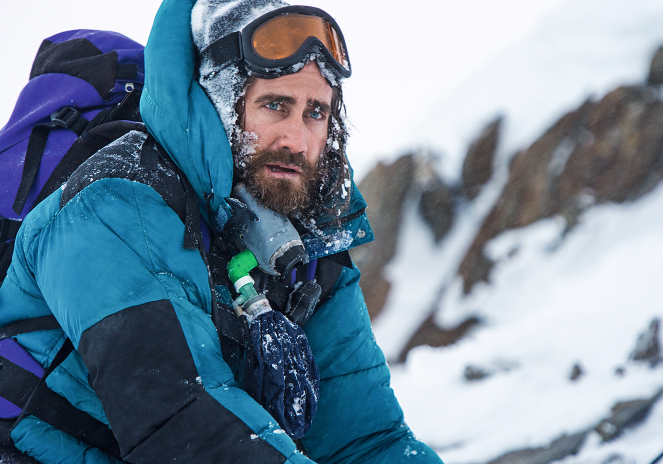 Divulga&ccedil;&atilde;o