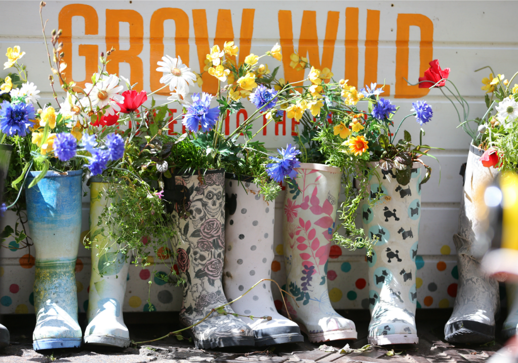 3 passos simples para montar uma hortinha em casa