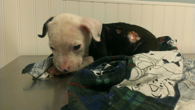 Reprodu&ccedil;&atilde;o/Facebook/Bill Lindler