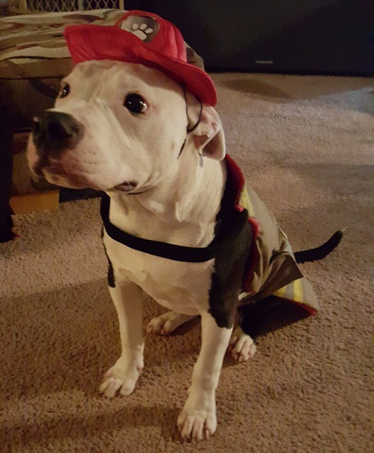 Reprodu&ccedil;&atilde;o/Facebook/Bill Lindler