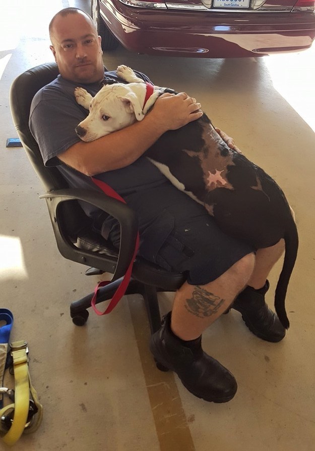 Reprodu&ccedil;&atilde;o/Facebook/Bill Lindler