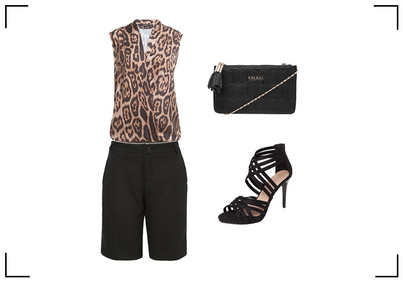 Divulga&ccedil;&atilde;o