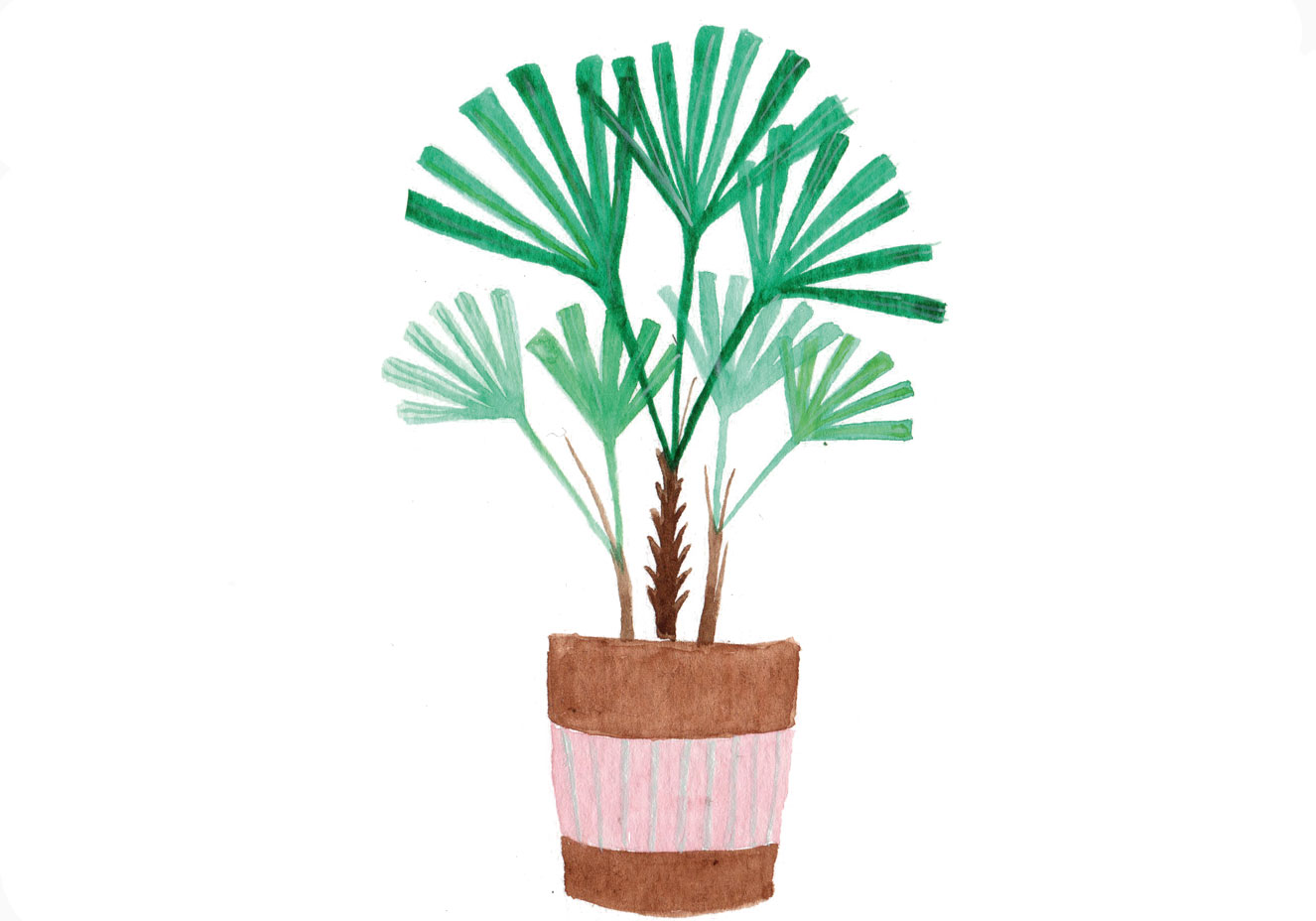 Ilustra&ccedil;&atilde;o: Guilherme Lira