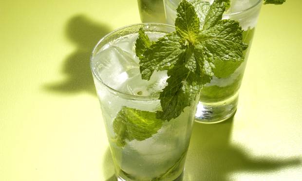 Mojito