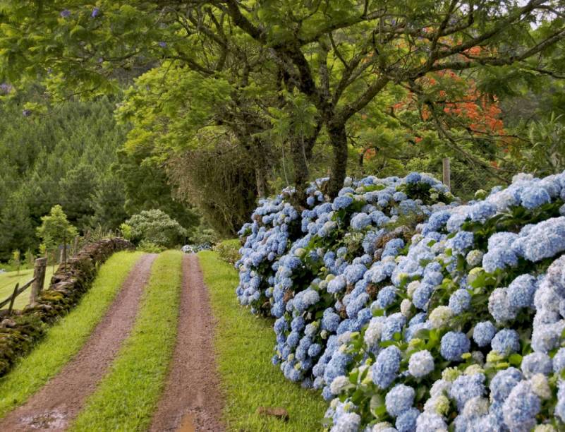 Serra Gaúcha Serra Gaúcha