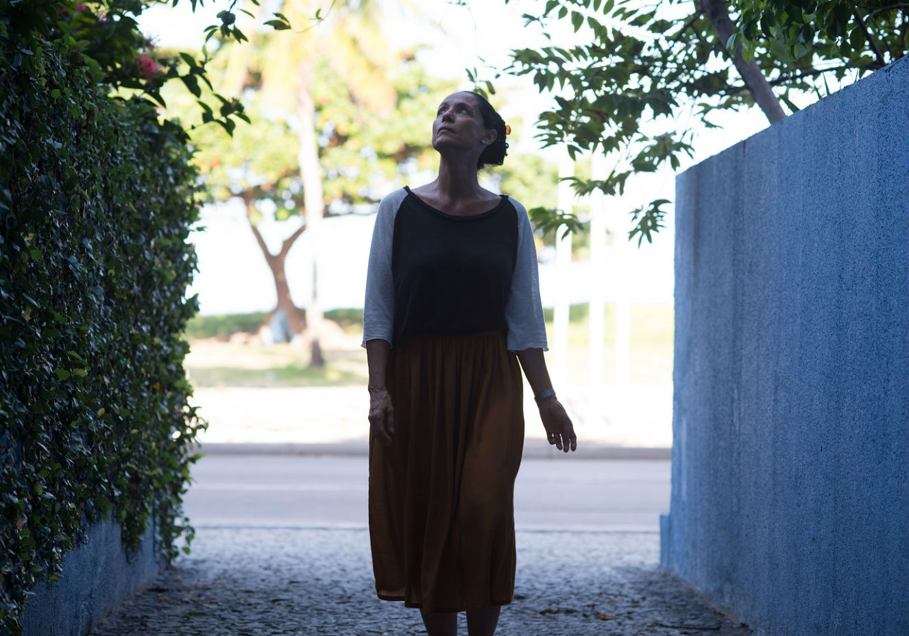 Divulga&ccedil;&atilde;o