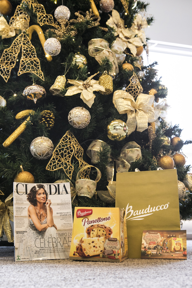 claudia-e-bauducco-workshop-dos-sonhos