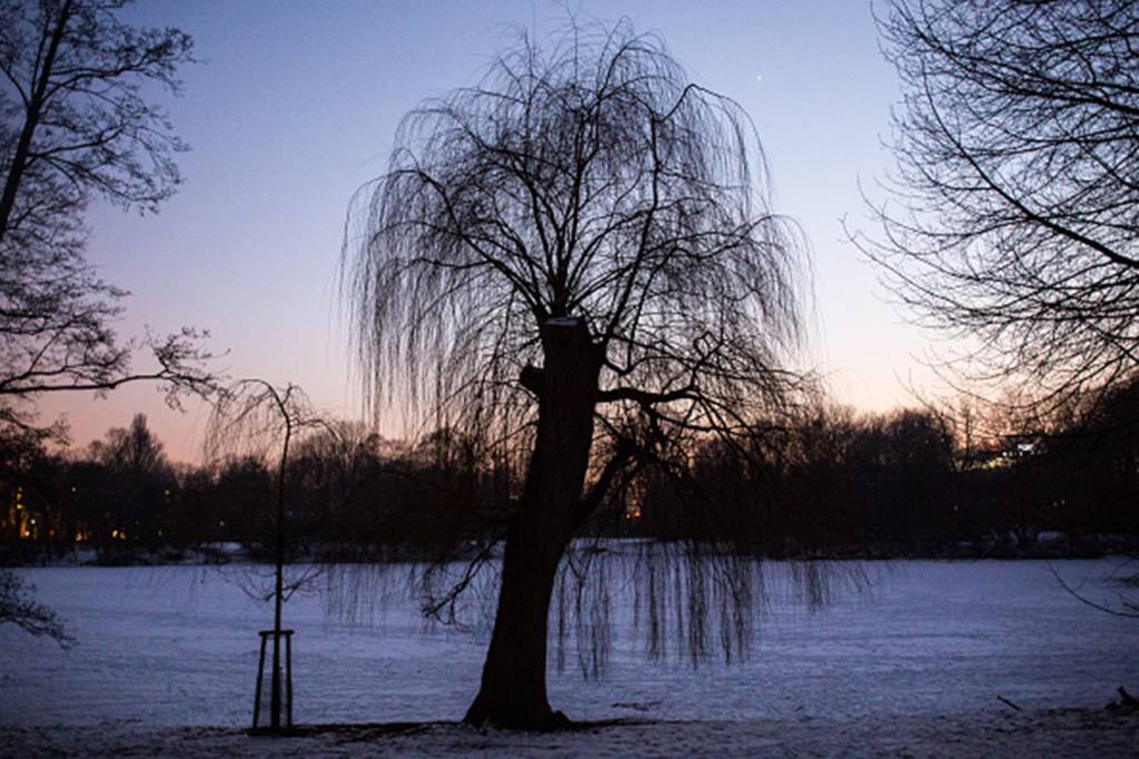 Winter in Warsaw