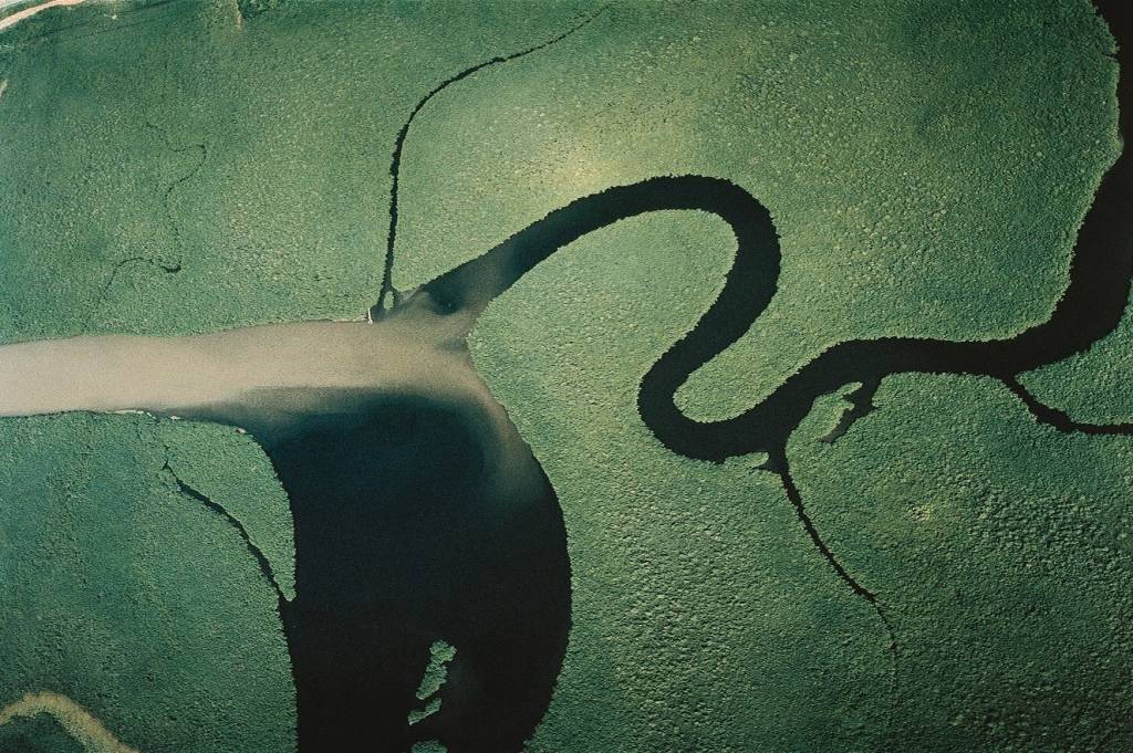 Amazônia: vá além do óbvio com dicas de quem conhece bem a região