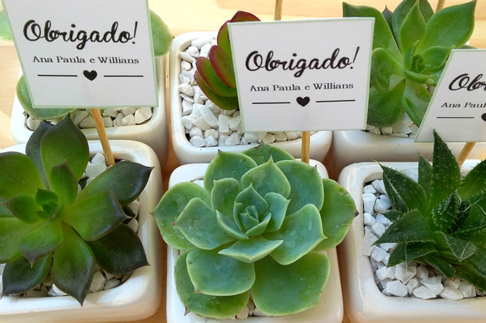 suculentas-lembrancinha-casamento-2