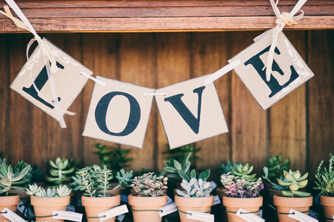 suculentas-lembrancinha-casamento-3