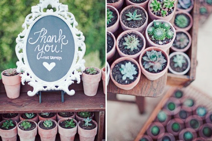 suculentas-lembrancinha-casamento-4