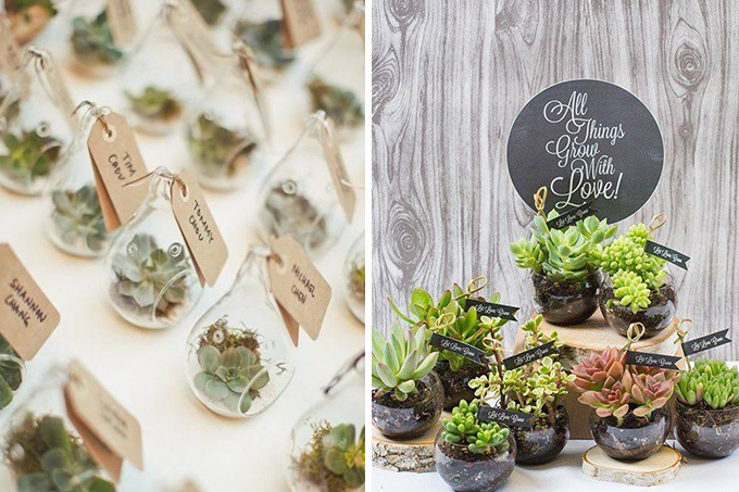 suculentas-lembrancinha-casamento-6