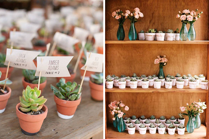 suculentas-lembrancinha-casamento-9