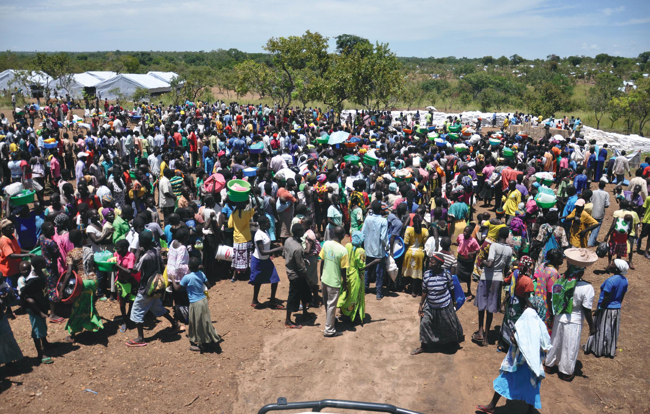 Liam Cunningham-sir-davos2
