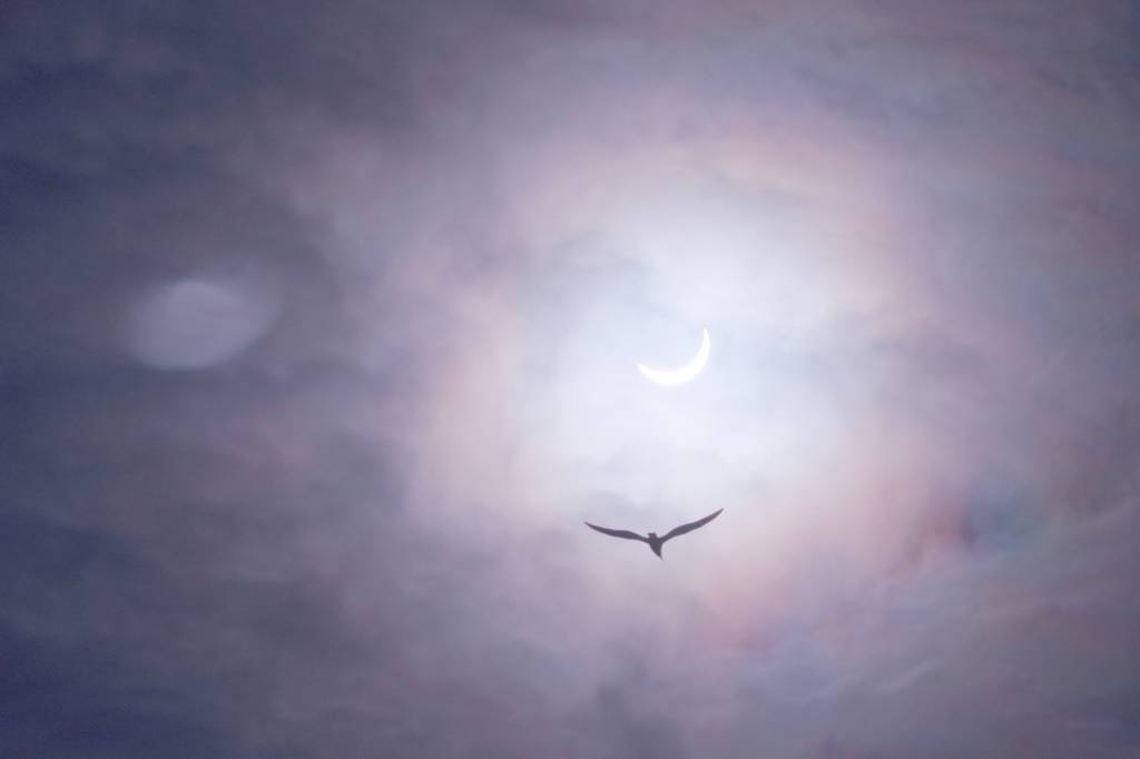 Susan Miller: Como o eclipse solar afetará cada signo