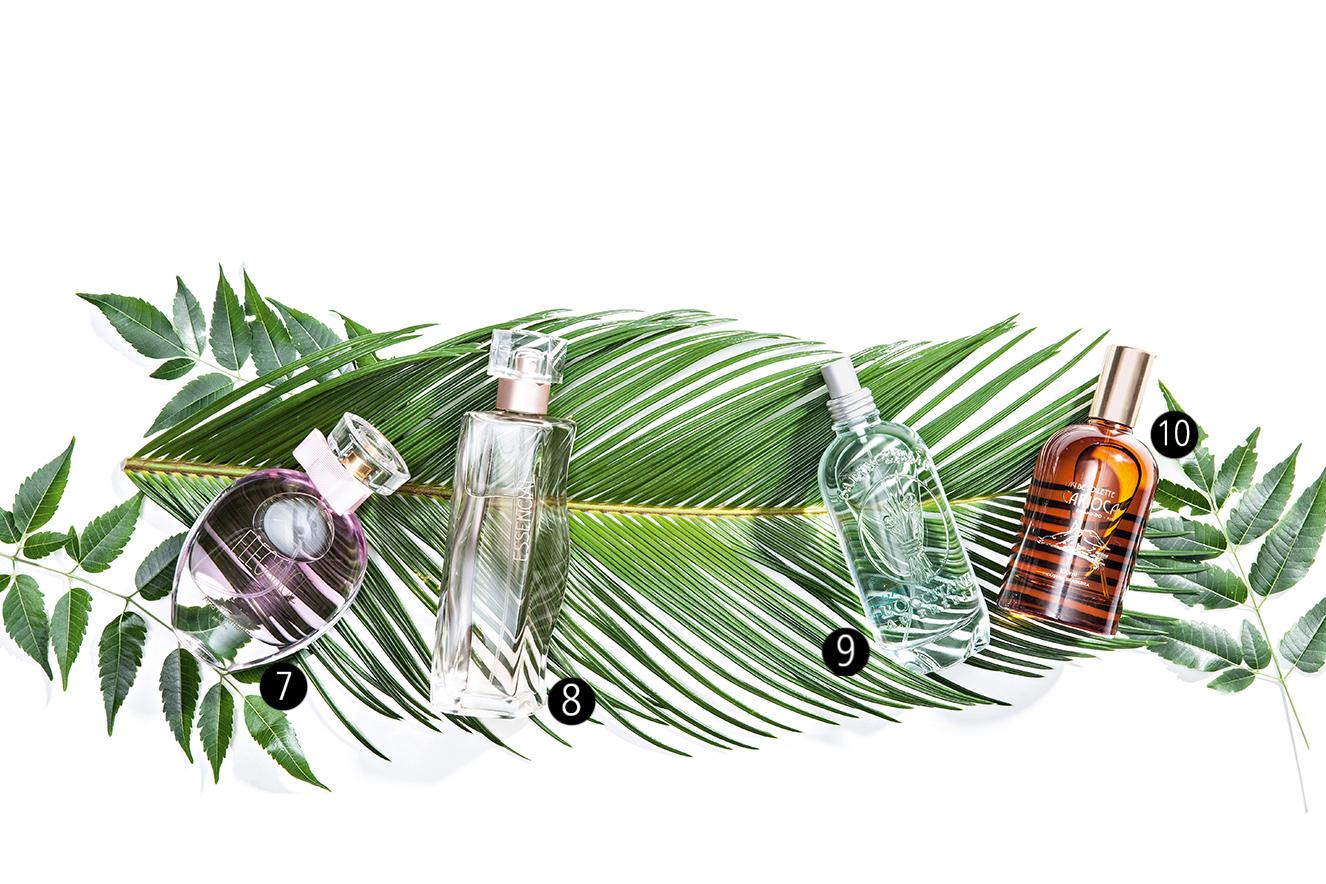 citricos-frescos-levinhos