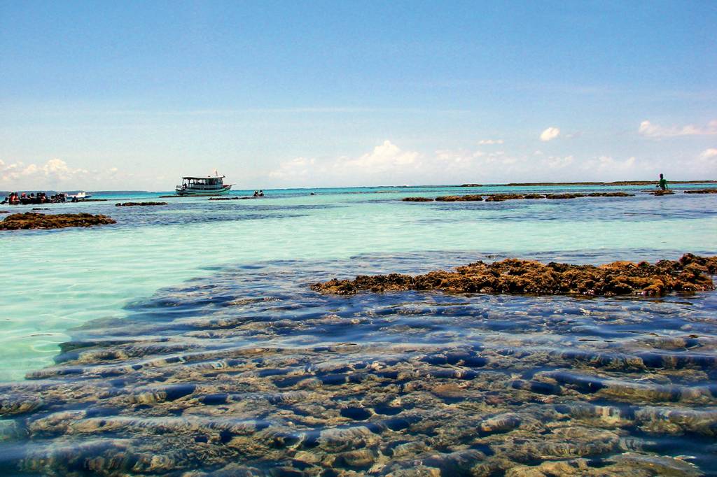 maragogi