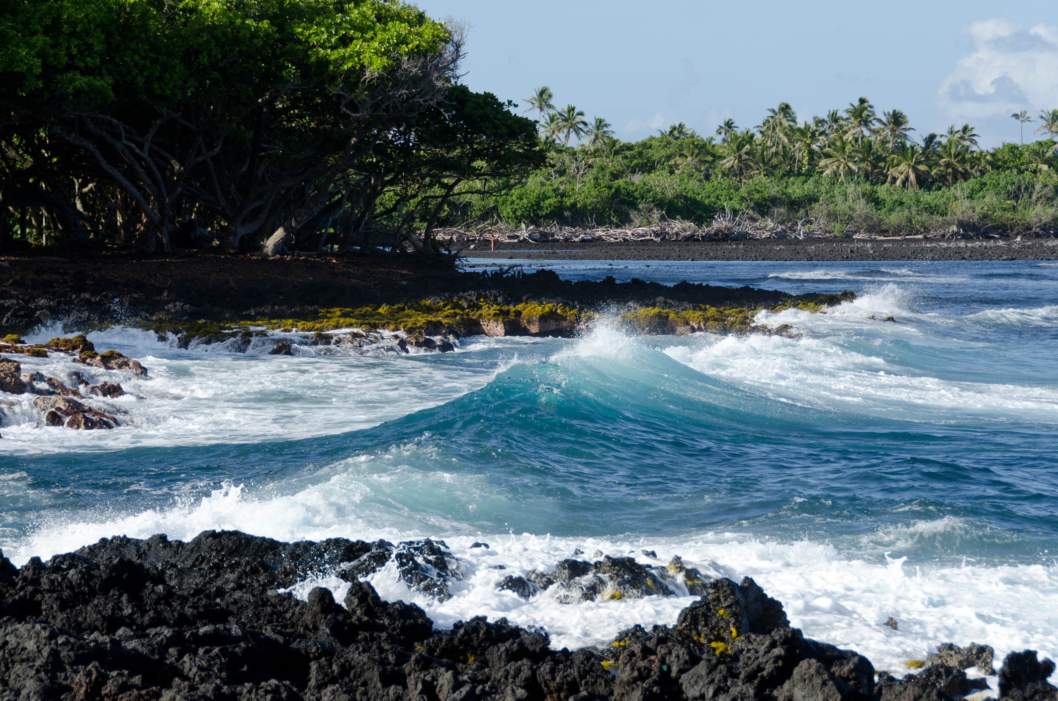 Surf at Isaac Hale Park, Puna, Big Island, Hawaii