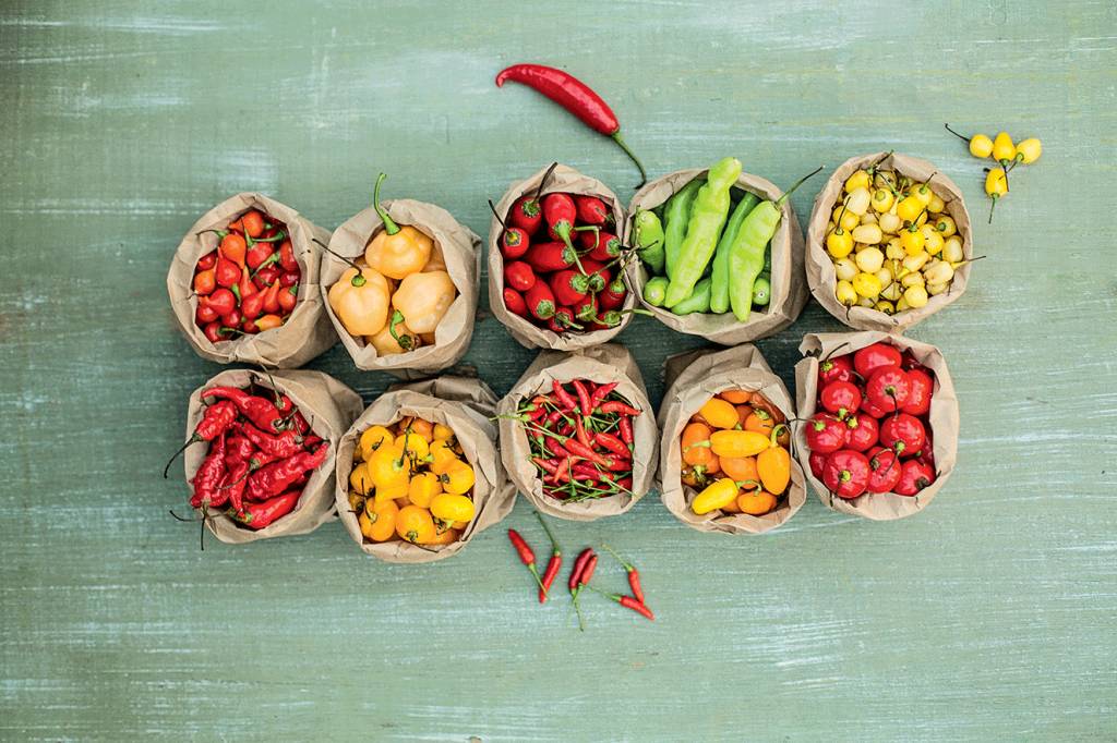 Mania de pimenta: os tipos mais populares e receitas usando o ingrediente