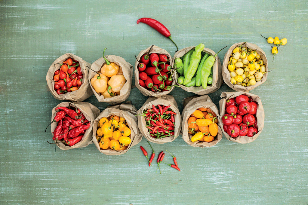 Mania de pimenta: os tipos mais populares e receitas usando o ingrediente