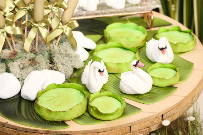 Festa infantil - Lago dos Cisnes