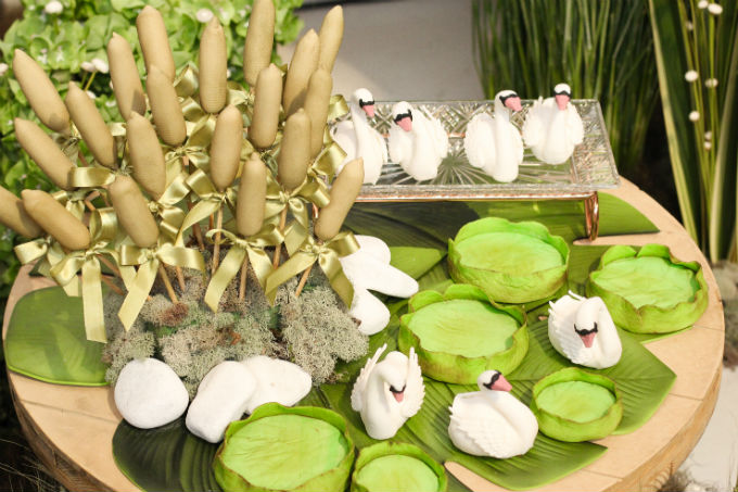 Festa infantil - Lago dos Cisnes