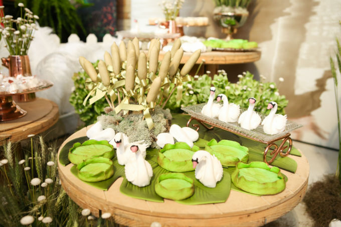 Festa infantil - Lago dos Cisnes