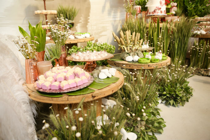 Festa infantil - Lago dos Cisnes