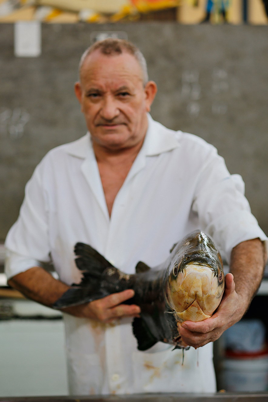 receber bel&eacute;m &ndash; agosto