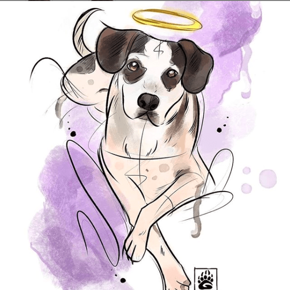 O que já se sabe sobre as investigações do cachorro morto no Carrefour