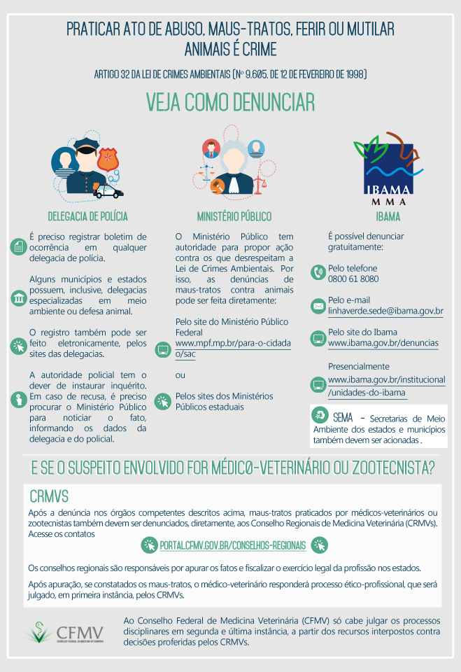 Infografico Infografico