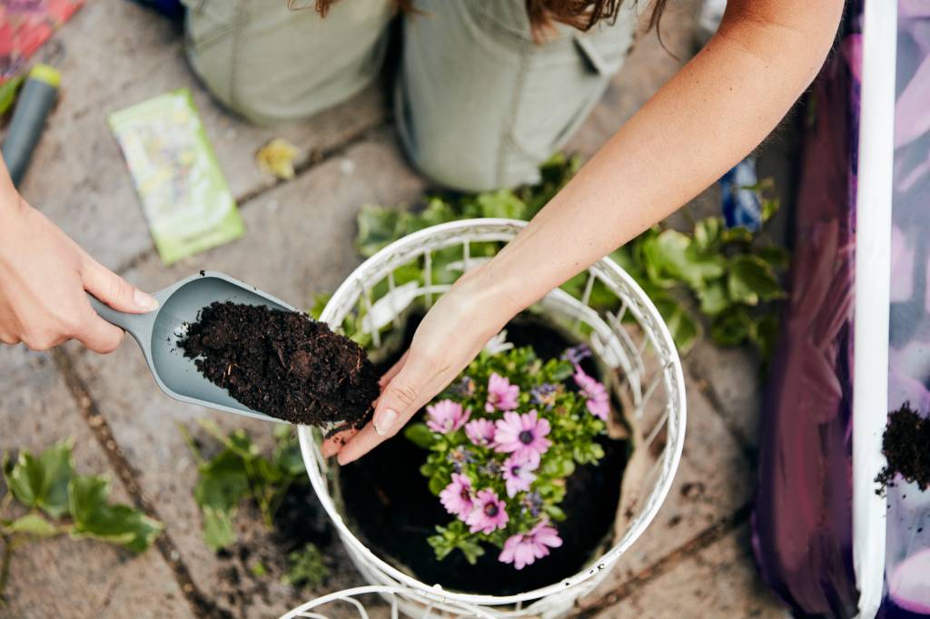 A woman planting up a basket with flowers, and adding soil around the base of the plant.