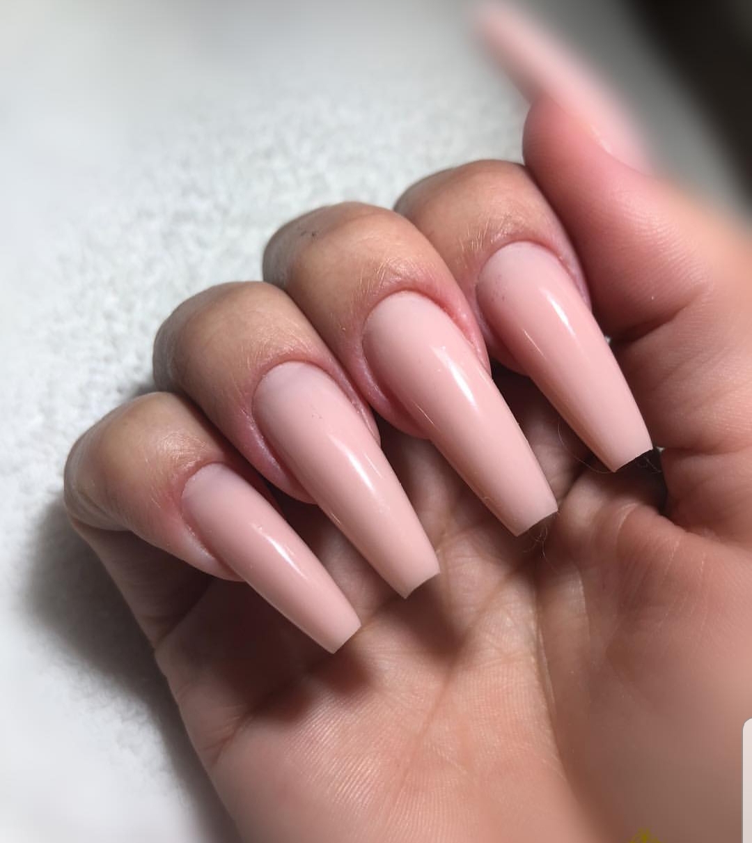 Cut&iacute;cula Russa