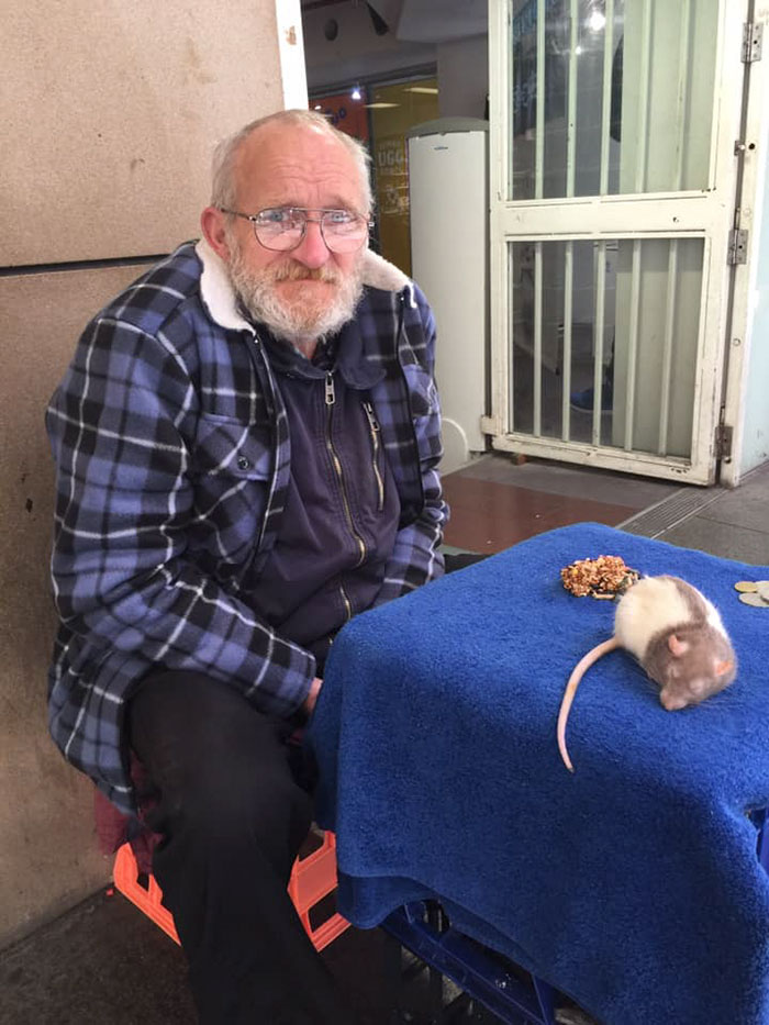 homeless-man-chris-pet-rat-stolen-sydney-3-5caf452a366ab__700 homeless-man-chris-pet-rat-stolen-sydney-3-5caf452a366ab__700